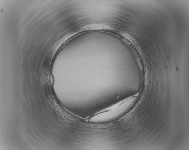 X0000053061465200508081141