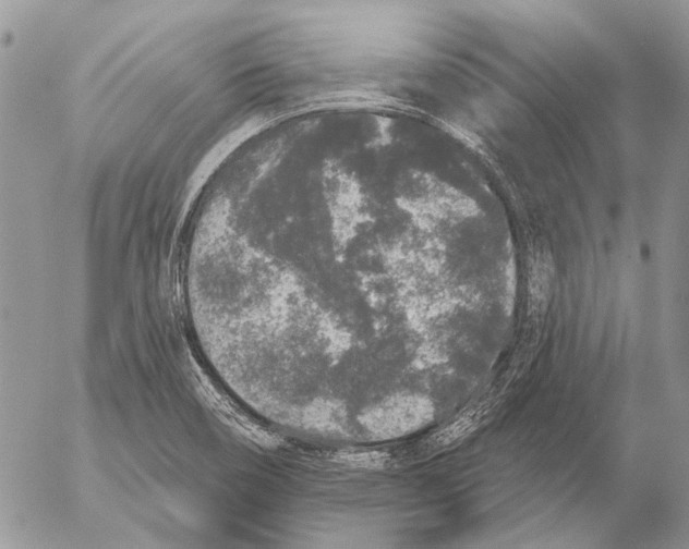 X0000053061466200508081141