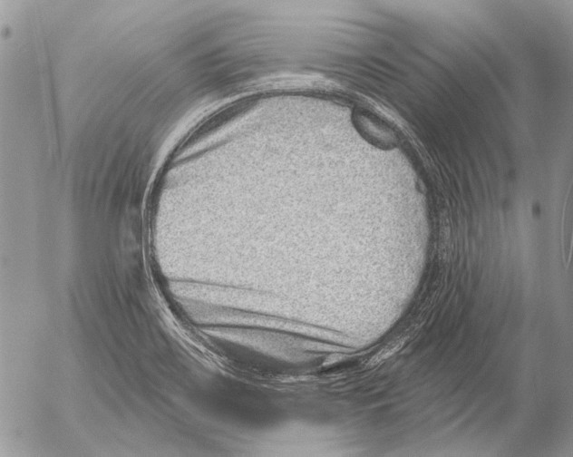 X0000053061467200508081141