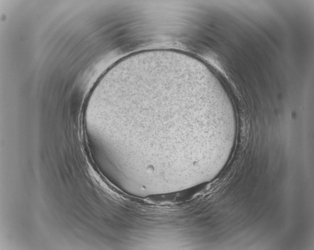 X0000053061468200508081141