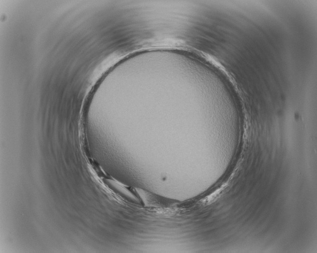 X0000053061469200508081141