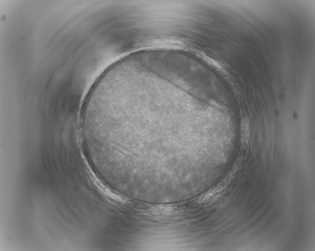 X0000053061470200508081141