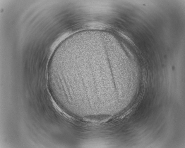 X0000053061471200508081141