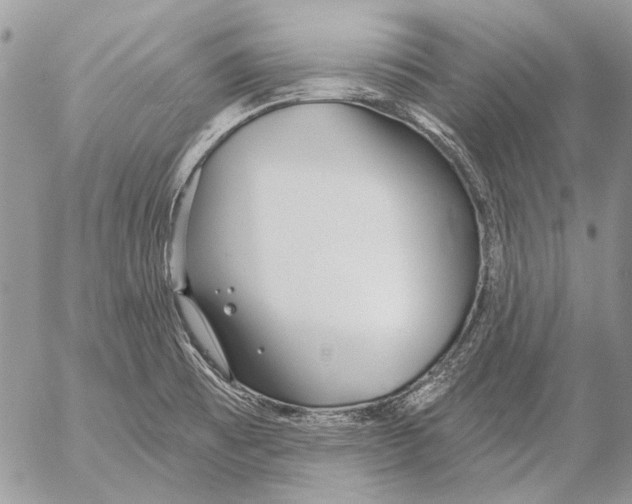 X0000053061473200508081141