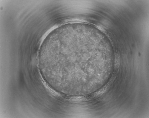 X0000053061474200508081141