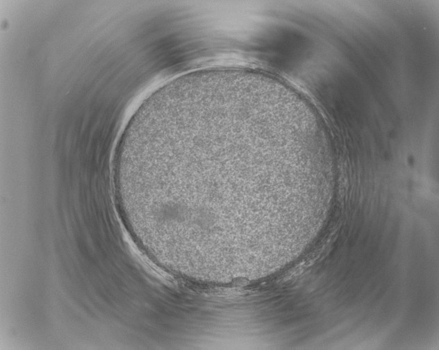 X0000053061475200508081141