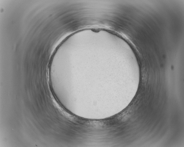 X0000053061476200508081141