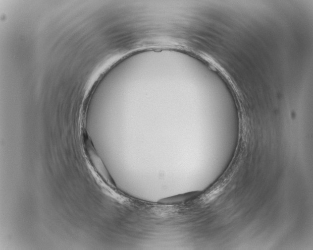 X0000053061477200508081141