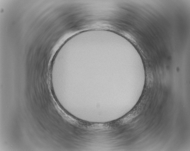 X0000053061478200508081141