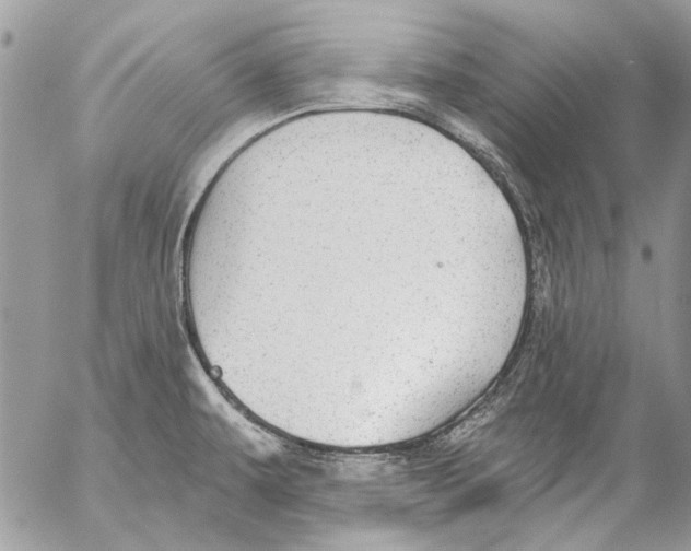 X0000053061479200508081141