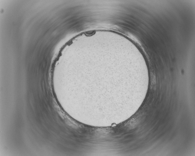 X0000053061480200508081141