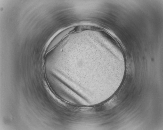 X0000053061484200508081141