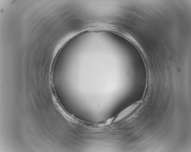 X0000053061485200508081141