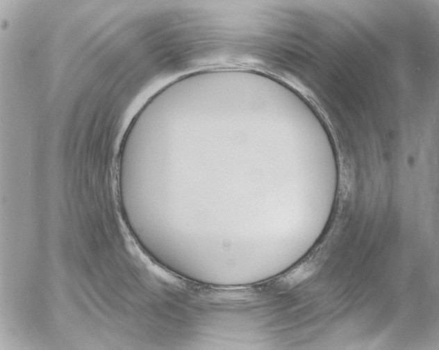 X0000053061486200508081141