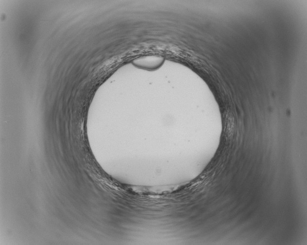 X0000053061489200508081140