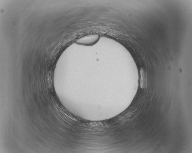 X0000053061491200508081140