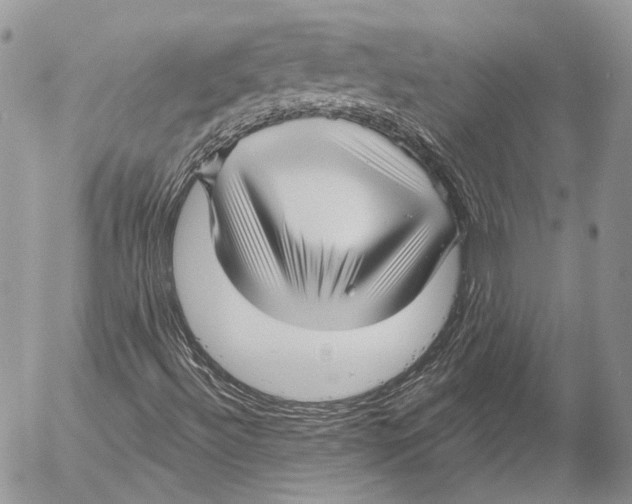 X0000053061492200508081140