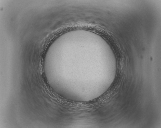 X0000053061493200508081140