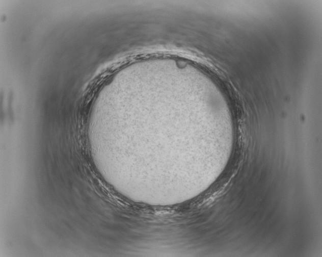 X0000053061494200508081140