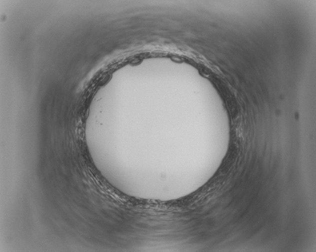 X0000053061495200508081140