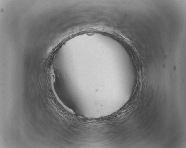 X0000053061496200508081140