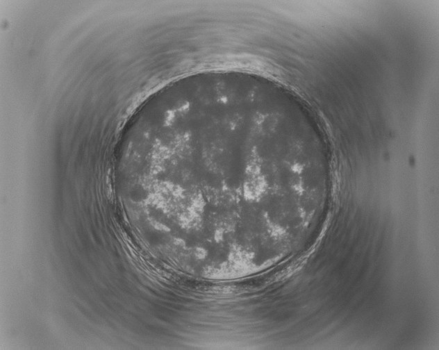 X0000053061497200508081140