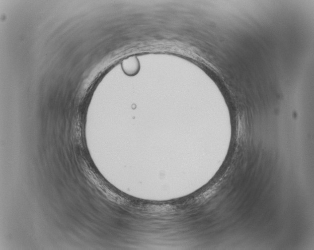 X0000053061498200508081140