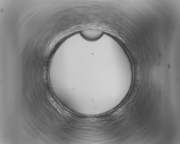 X0000053061499200508081140