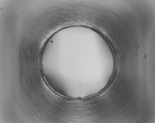 X0000053061500200508081140