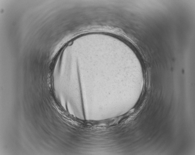 X0000053061501200508081140