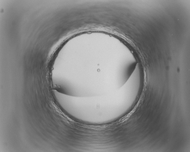 X0000053061502200508081140