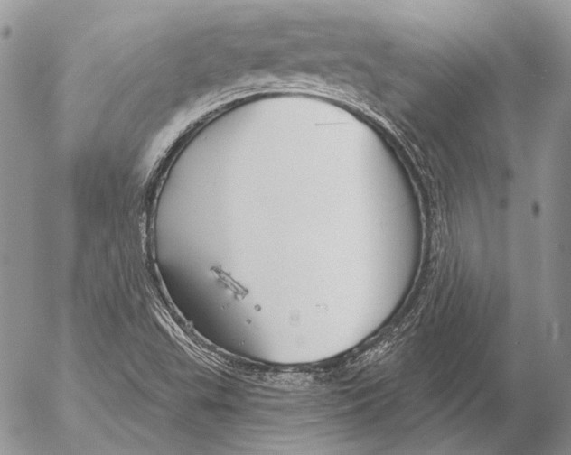 X0000053061503200508081140