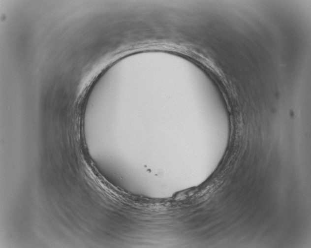 X0000053061504200508081140