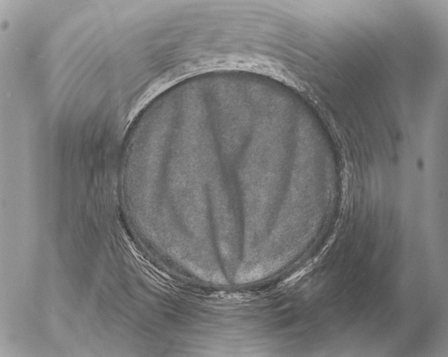 X0000053061505200508081141