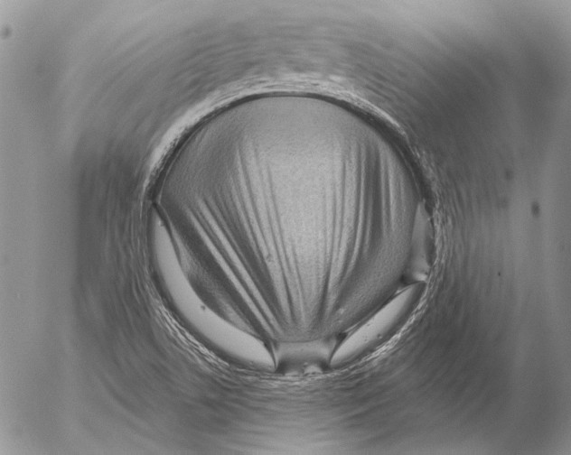 X0000053061506200508081141