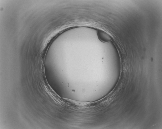 X0000053061507200508081141