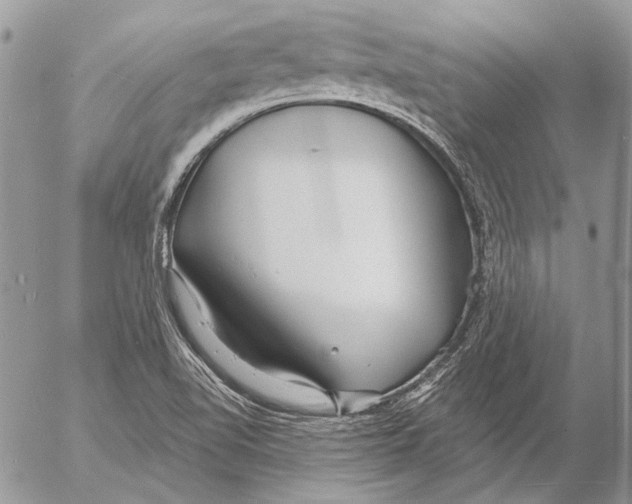 X0000053061510200508081141