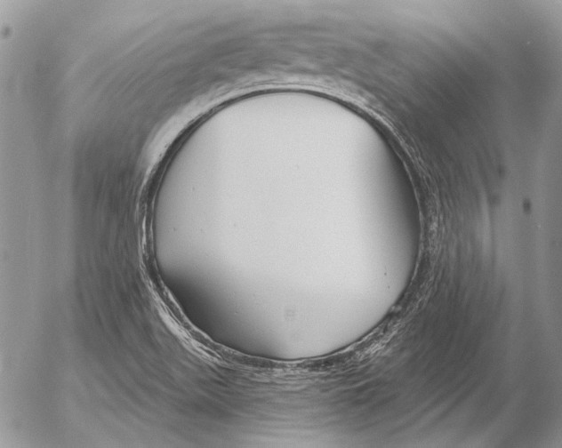 X0000053061511200508081141