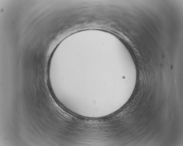 X0000053061512200508081141