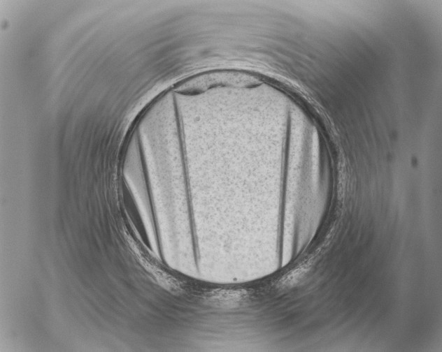 X0000053061513200508081141