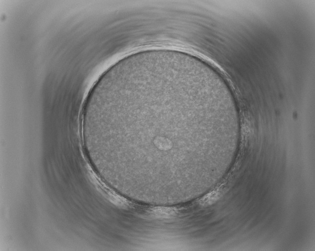 X0000053061514200508081141