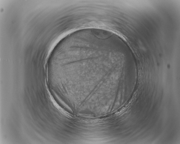 X0000053061515200508081141