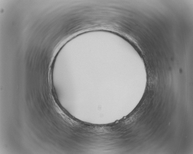 X0000053061516200508081141