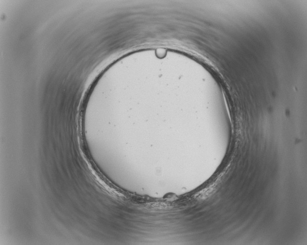 X0000053061517200508081141