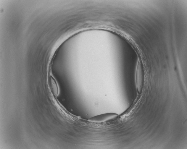 X0000053061520200508081141