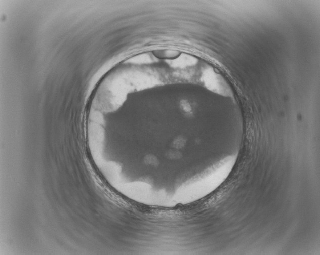 X0000053061522200508081141