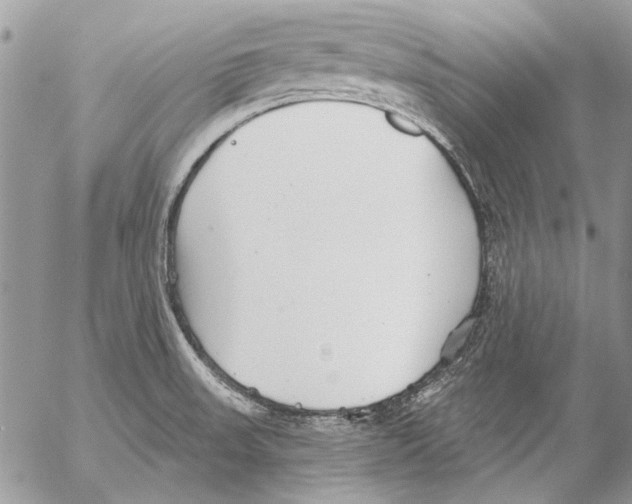 X0000053061523200508081141