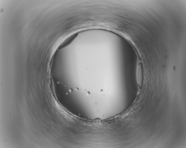 X0000053061524200508081141