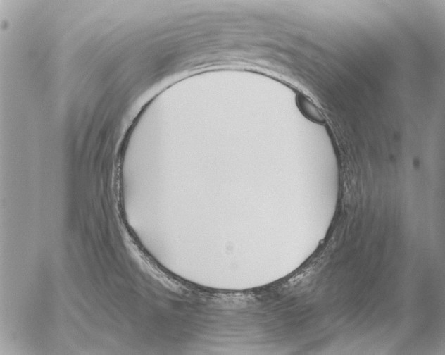 X0000053061526200508081141