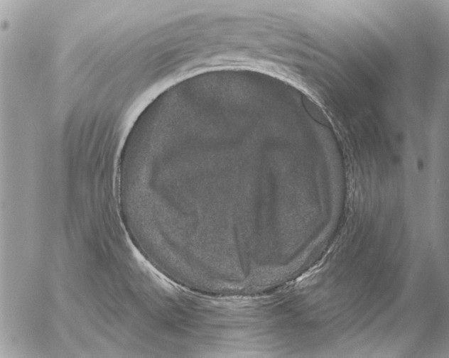 X0000053061527200508081141